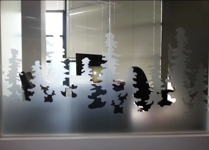 Window film installation by EWS Window Films, Metro Vancouver
